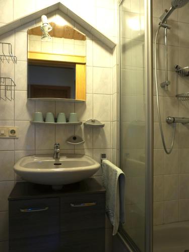 a bathroom with a sink and a shower at Ferienwohnung Arber in Dösingerried