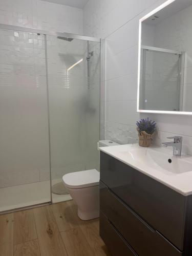 a bathroom with a toilet and a sink and a shower at Dalia Somhome in Peniscola