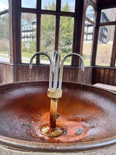 a water fountain in a room with a window at Apartmány Louka in Vaclavov u Bruntalu