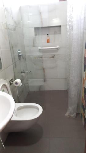 a bathroom with a toilet and a sink and a shower at Wonderville Ensuite Rooms in Cuncolim