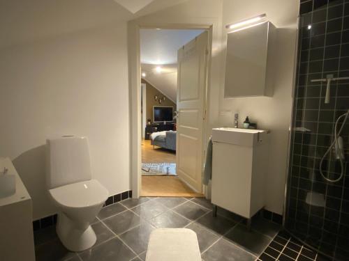 a bathroom with a toilet and a sink and a mirror at Lugnet på landet! in Töllsjö