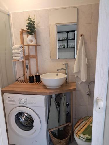a bathroom with a washing machine and a sink at SAN MARKO 2 in Lovran