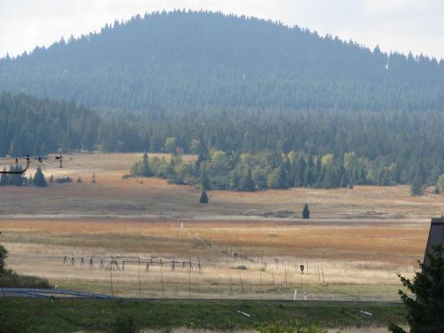 a field with trees and a mountain in the background at Apartmány Na náměstí in Boží Dar