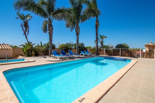 a swimming pool with palm trees in the background at Casa Laranjal in Albufeira
