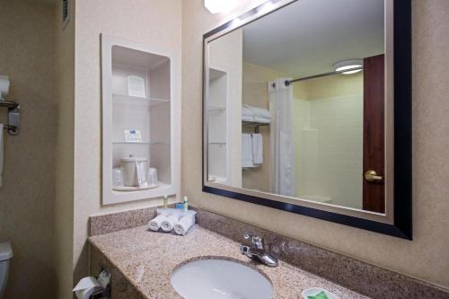 a bathroom with a sink and a mirror at White Pine Lodge in Salamanca