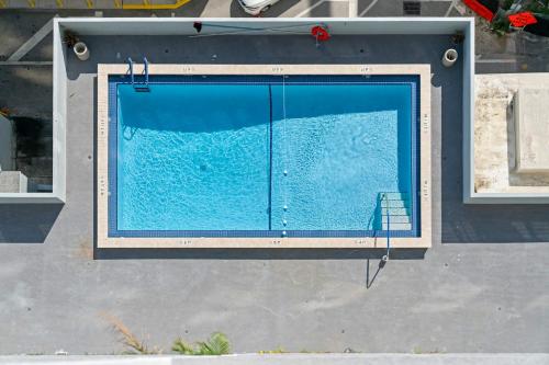 an overhead view of a blue swimming pool at Hollywood Beach Speakeasy Condo with Pool in Hollywood