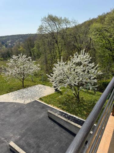 an aerial view of a parking lot with flowering trees at Fruškogorska bajka in Velika Remeta