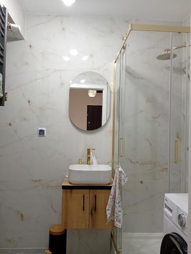 a bathroom with a sink and a shower at Apartament Niebieskie in Zamość