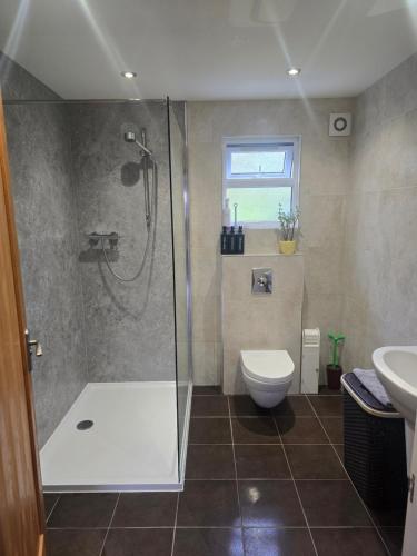 a bathroom with a shower and a toilet and a sink at The Goat House in Purleigh