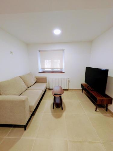a living room with a couch and a television at PisoCentro in Santander