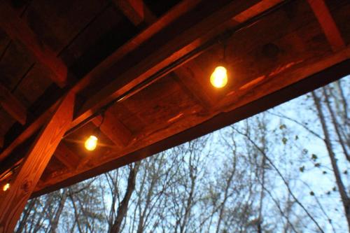 BEAR BOTTOMS Studio Twin Cabin HotTub TV Wifi photo 11