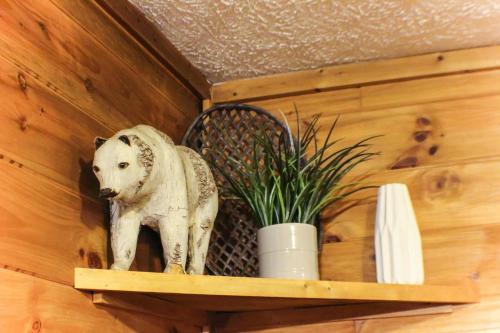 BEAR BOTTOMS Studio Twin Cabin HotTub TV Wifi photo 21