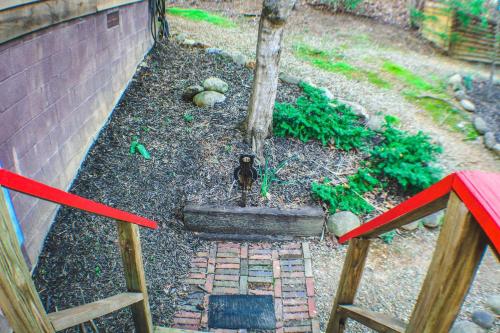 BEAR BOTTOMS Studio Twin Cabin HotTub TV Wifi photo 42