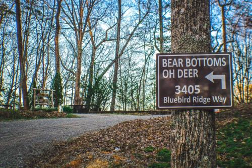 BEAR BOTTOMS Studio Twin Cabin HotTub TV Wifi photo 44
