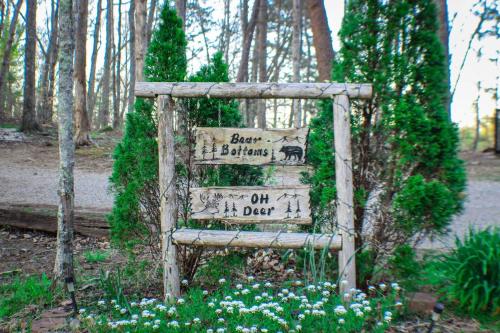 BEAR BOTTOMS Studio Twin Cabin HotTub TV Wifi photo 47