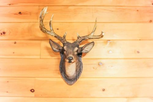 Oh Deer - Studio Wooded Twin Cabin, Hot Tub, TV & Wifi photo 10