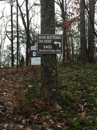 Oh Deer - Studio Wooded Twin Cabin, Hot Tub, TV & Wifi photo 36