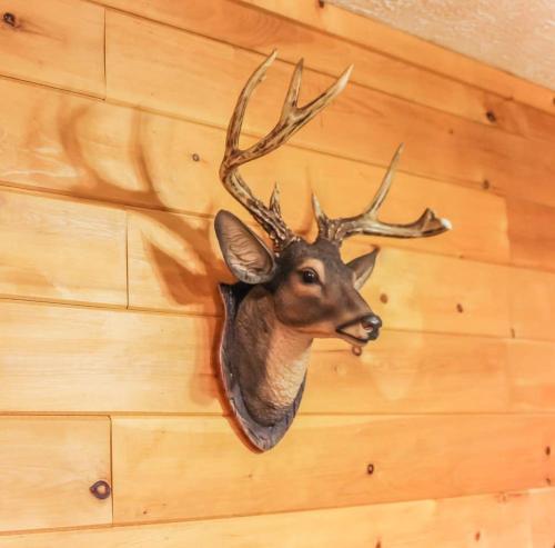 Oh Deer - Studio Wooded Twin Cabin, Hot Tub, TV & Wifi photo 51