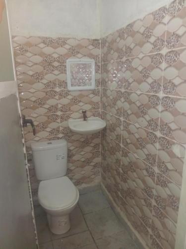 a small bathroom with a toilet and a sink at Auberge High Atlas B&B in Alemrhou