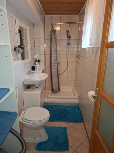 a bathroom with a toilet and a sink and a shower at Ferienhaus Weingarten Eisenberg in Vaskeresztes