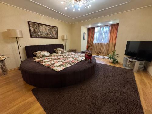 a bedroom with a large bed and a tv at One bedroom king size center in Dnipro