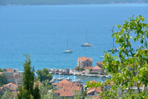 a group of boats in a harbor on the water at Zotina Residence in Tivat