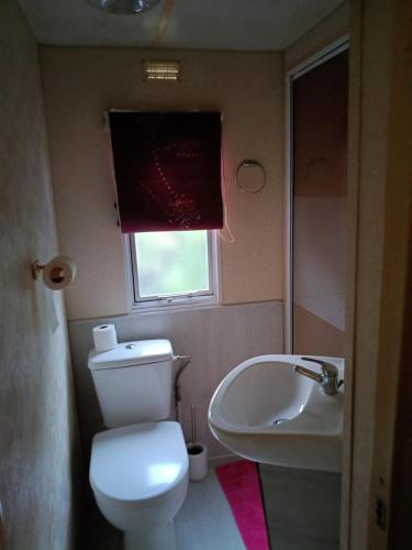 a bathroom with a toilet and a sink and a window at mobilhome Catalan in Néfiach