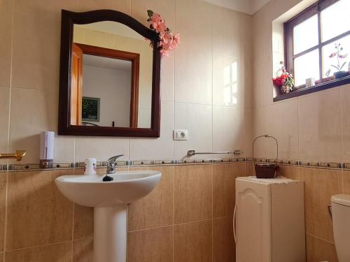 a bathroom with a sink and a mirror and a toilet at Mgrahamhouse in Tacoronte