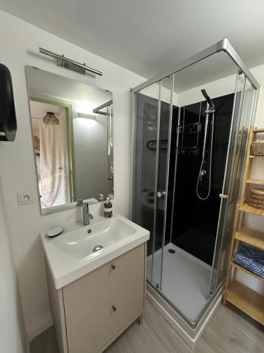 a bathroom with a sink and a shower at Le Cerisier in Giverny