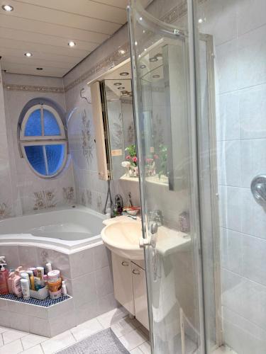 a bathroom with a shower and a sink at Nora Private Home on Neckar in Heidelberg
