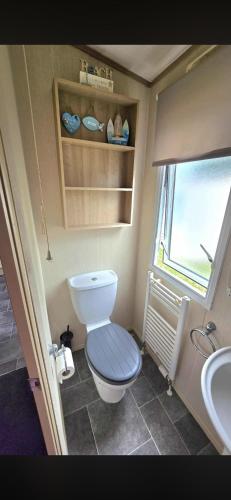 a small bathroom with a toilet and a sink at Luxury 3 bedroom caravan hobourne Devon bay with hot tub in Goodrington