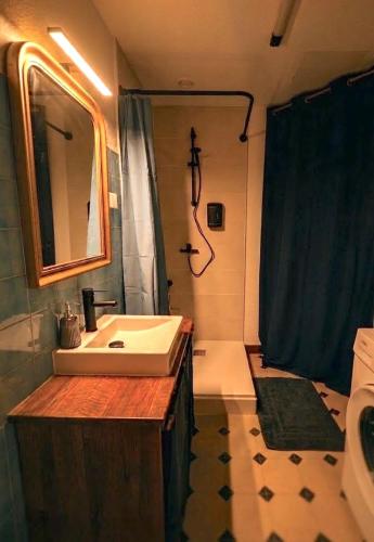 a bathroom with a sink and a shower at Appartement Ubac - Chic & Douillet in Saint-Gaudens