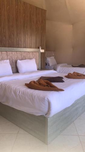 two beds with brown blankets on them in a room at وادي رم مخيم عادل in Wadi Rum