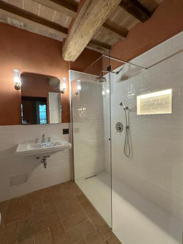 a bathroom with a glass shower and a sink at Casa Tarabuso B&B in Reggio Emilia