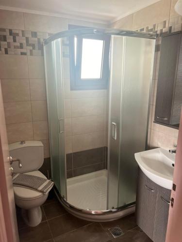 a bathroom with a shower with a toilet and a sink at Filonoe apartment in Gialiskari