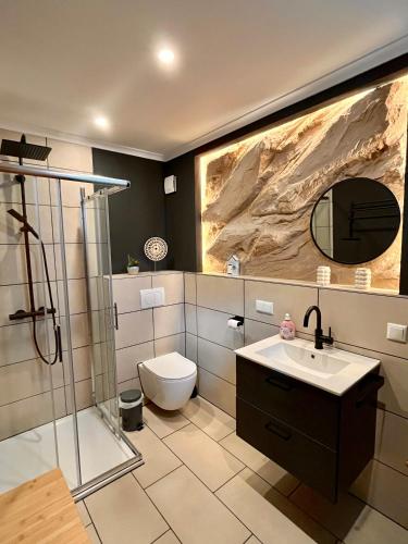 a bathroom with a shower and a toilet and a sink at Ferienhaus Schwalmblick in Schwalmstadt
