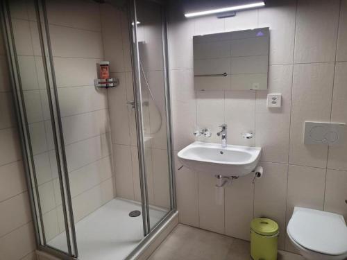a bathroom with a shower and a sink and a toilet at Auberge des Fées in Buttes