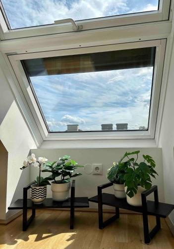 Dachgeschoss Loft im Herzen von Wien l HG29