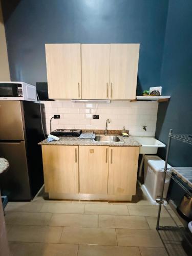 a kitchen with wooden cabinets and a sink at San Felipe Loft in Panama City