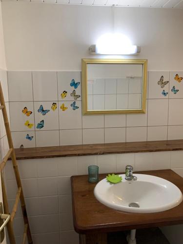 a bathroom with a sink and a mirror at Les Manguiers in Deshaies