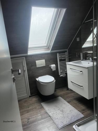 a bathroom with a toilet and a sink and a skylight at Aluxhaus in Heidenau