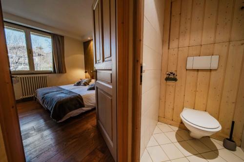 a bathroom with a bed and a toilet in a room at appartement 103m2 près de Megève, face à télécabine la Princesse,2 chambres , garage, local à ski in Demi-Quartier