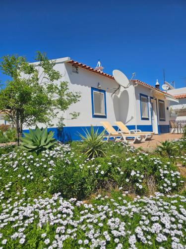 Casa Azul Beach and Peaceful Garden Oasis