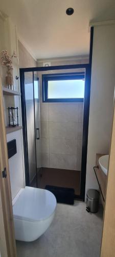 a bathroom with a toilet and a shower and a sink at Gîte isolé avec terrasse in Laignes