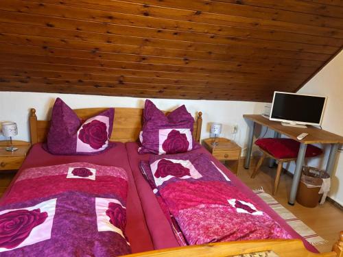 a bedroom with two beds and a desk with a laptop at Appartment Sylvia von Skwarczinsky in Tabarz