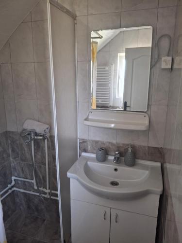 a bathroom with a white sink and a mirror at Vikendica Popadić in Vukovina