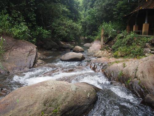 a stream of water with rocks and trees at The Kandy Samadhicentre in Kandy