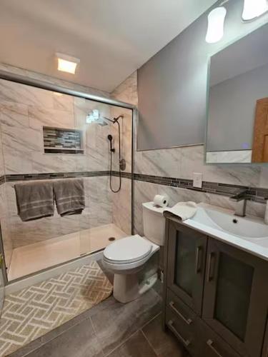 a bathroom with a toilet and a shower and a sink at Dracut Executive Rooms with Kitchen & Bath, Parking, Spacious & Comfortable in Dracut
