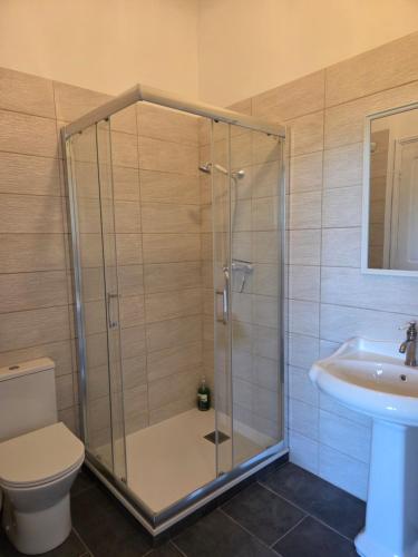 a bathroom with a shower and a toilet and a sink at Domaine de Lasserre in Lupiac