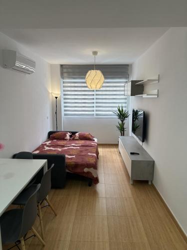 a bedroom with a bed and a tv and a table at APARTAMENTO FELIP 1 in Burriana